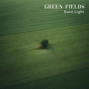 尼尔机械纪元3D未删减版
