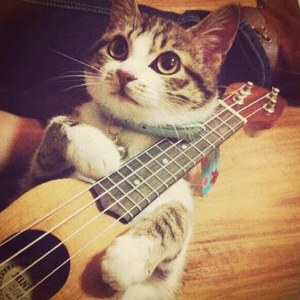 尼尔机械纪元3D未删减版
